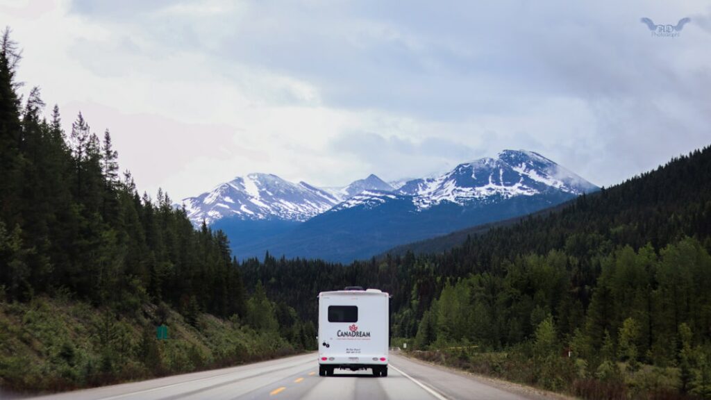 moving to different state movers