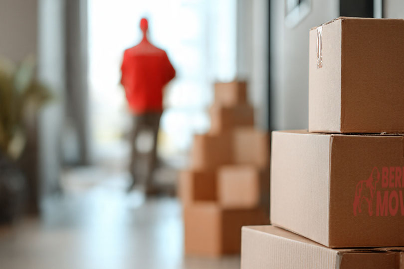 apartment movers in chicago