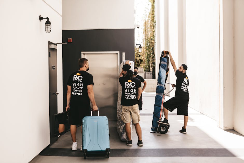 Small move specialists professional moving crew Chicago - Small move specialists